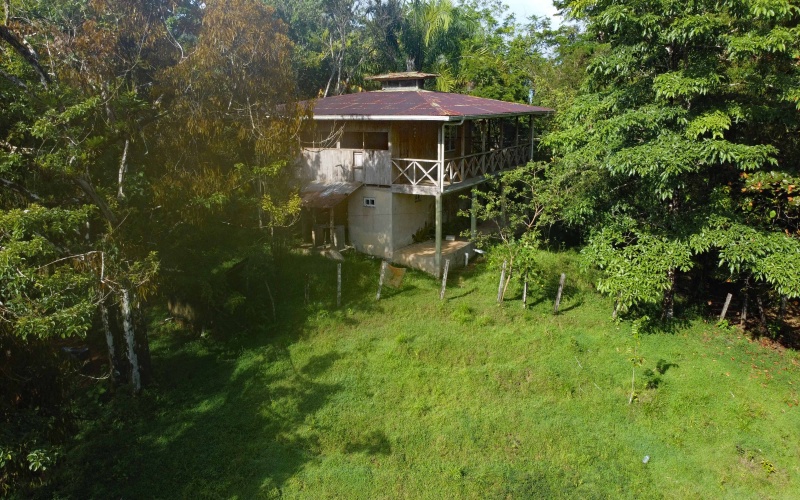 Farm for sale, Finca, Se Vende, Real estate, Real Estate agent, Costa rica, Pavones, 14 hectares, 34 acres, land for sale, Lot for sale