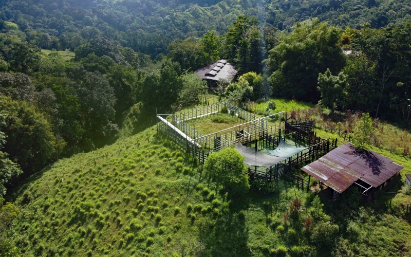 Farm for sale, Finca, Se Vende, Real estate, Real Estate agent, Costa rica, Pavones, 14 hectares, 34 acres, land for sale, Lot for sale