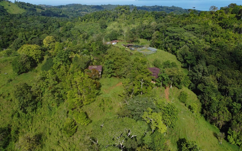 Farm for sale, Finca, Se Vende, Real estate, Real Estate agent, Costa rica, Pavones, 14 hectares, 34 acres, land for sale, Lot for sale