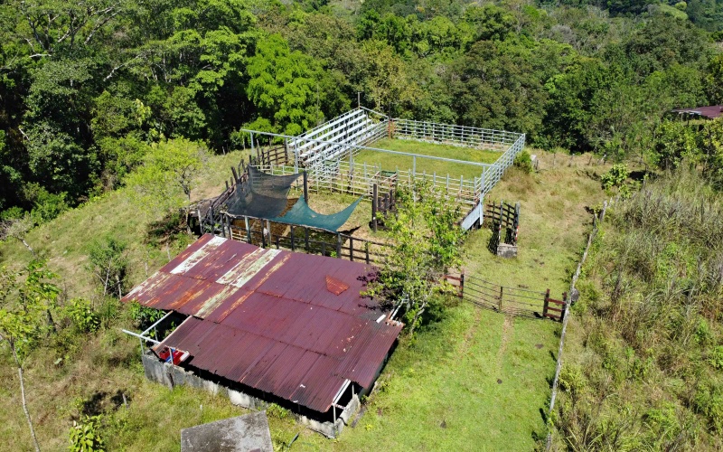 Farm for sale, Finca, Se Vende, Real estate, Real Estate agent, Costa rica, Pavones, 14 hectares, 34 acres, land for sale, Lot for sale