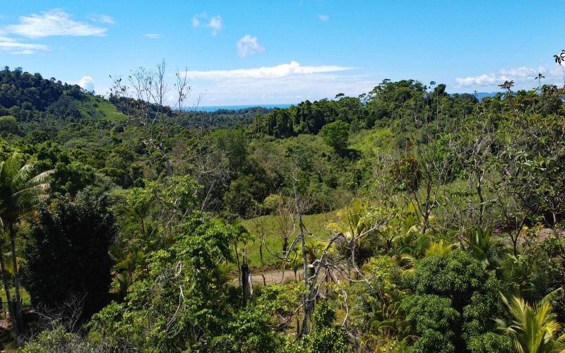 Farm for sale, Finca, Se Vende, Real estate, Real Estate agent, Costa rica, Pavones, 14 hectares, 34 acres, land for sale, Lot for sale