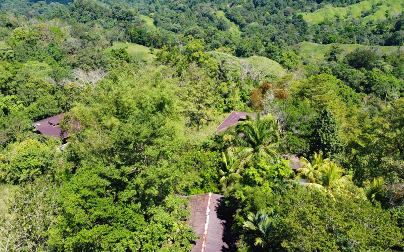 Farm for sale, Finca, Se Vende, Real estate, Real Estate agent, Costa rica, Pavones, 14 hectares, 34 acres, land for sale, Lot for sale