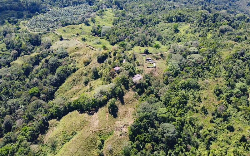 Farm for sale, Finca, Se Vende, Real estate, Real Estate agent, Costa rica, Pavones, 14 hectares, 34 acres, land for sale, Lot for sale