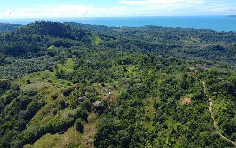 Farm for sale, Finca, Se Vende, Real estate, Real Estate agent, Costa rica, Pavones, 14 hectares, 34 acres, land for sale, Lot for sale