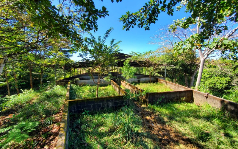 Farm for sale, Finca, Se Vende, Real estate, Real Estate agent, Costa rica, Pavones, 14 hectares, 34 acres, land for sale, Lot for sale