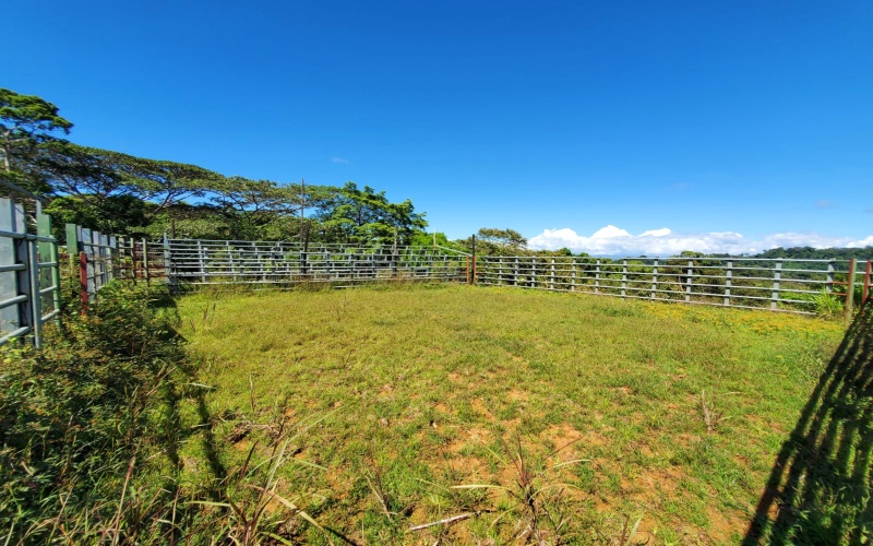 Farm for sale, Finca, Se Vende, Real estate, Real Estate agent, Costa rica, Pavones, 14 hectares, 34 acres, land for sale, Lot for sale