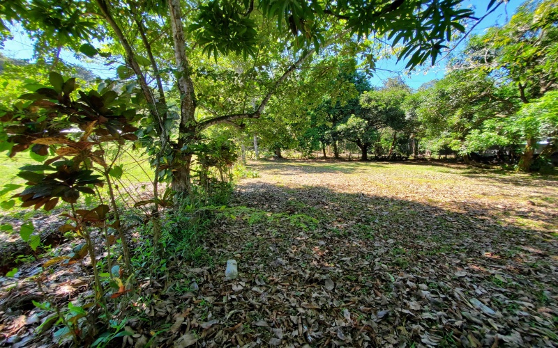 For Sale, Land, Lot, Parcel, Beach lot, Beach Property, Real Estate for sale, Se vende, Lote, Lote cerca de la playa, Keller Williams, Eric Chavarria, Pavones, Costa Rica, Pilon, Pavones Point, Surf Properties, Surf Locations, Real estate for surfers, Bienes Raices, 