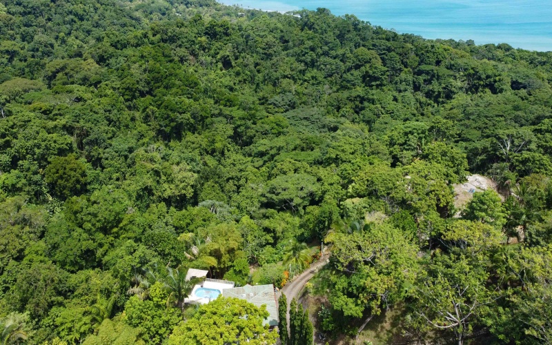 House for sale, Casa en venta, La Hierba, Pavones, Real estate, Keller Williams, , Bienes raices, Pilon, Pavones, Punta Banco, Pool Home, Costa Rica,  Real Estate for sale in Pavones