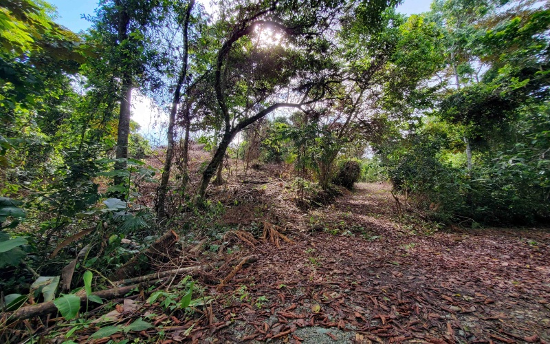 Pavones Real Estate, Pavones Costa Rica Real Estate, Real Estate for sale, Pavones, Keller Williams, Remax, Coldwell Banker, Pilon, Zancudo, Punta Banco, Pavones Properties for sale, Se vende, Lote, Land for sale, Lot for sale