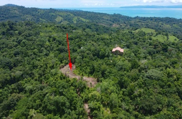 Pavones Real Estate, Pavones Costa Rica Real Estate, Real Estate for sale, Pavones, Keller Williams, Remax, Coldwell Banker, Pilon, Zancudo, Punta Banco, Pavones Properties for sale, Se vende, Lote, Land for sale, Lot for sale