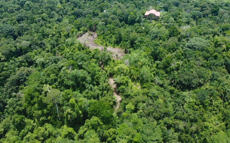 Pavones Real Estate, Pavones Costa Rica Real Estate, Real Estate for sale, Pavones, Keller Williams, Remax, Coldwell Banker, Pilon, Zancudo, Punta Banco, Pavones Properties for sale, Se vende, Lote, Land for sale, Lot for sale