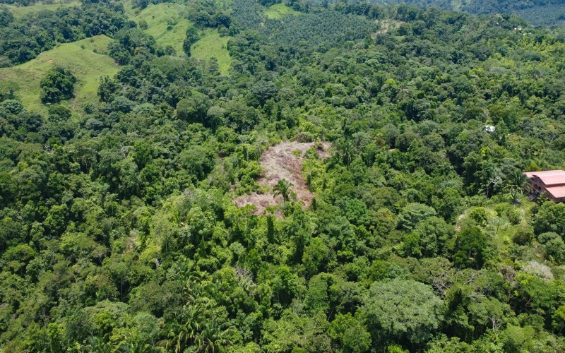 Pavones Real Estate, Pavones Costa Rica Real Estate, Real Estate for sale, Pavones, Keller Williams, Remax, Coldwell Banker, Pilon, Zancudo, Punta Banco, Pavones Properties for sale, Se vende, Lote, Land for sale, Lot for sale