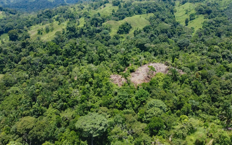 Pavones Real Estate, Pavones Costa Rica Real Estate, Real Estate for sale, Pavones, Keller Williams, Remax, Coldwell Banker, Pilon, Zancudo, Punta Banco, Pavones Properties for sale, Se vende, Lote, Land for sale, Lot for sale