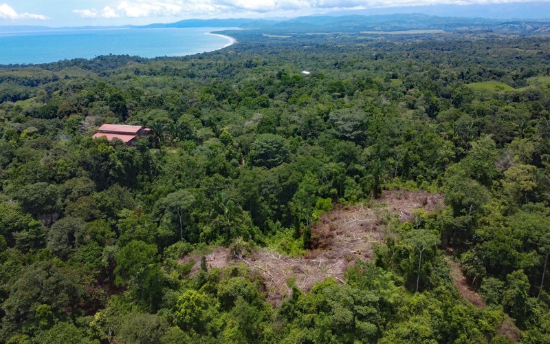 Pavones Real Estate, Pavones Costa Rica Real Estate, Real Estate for sale, Pavones, Keller Williams, Remax, Coldwell Banker, Pilon, Zancudo, Punta Banco, Pavones Properties for sale, Se vende, Lote, Land for sale, Lot for sale